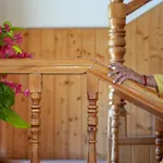 Forest Way Cottage Manali-2Bhk